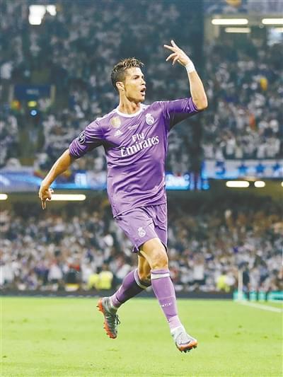 他们对约基 他们对约基